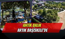 Başiskele'ye Antik Balık Şubesi Açıldı