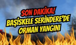 Başiskele Serindere'de Orman Yangını