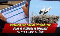 Kocaeli’de Her Yuvanın İzi Sürülecek: Bilim ve Vatandaş İş Birliğiyle "Leylek Atlası" Geliyor!