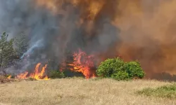 Çanakkale’de orman yangını alarmı! Yasak kararı alındı