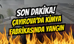 Çayırova'da Kimya Fabrikasında Yangın Paniği