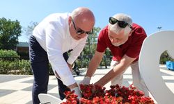 Darıca’da Yeşil Seferberlik: Parklar Ve Yeşil Alanlar Baştan Sona Yenileniyor