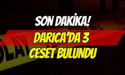 Darıca'da Denizden 3 Ceset Çıktı
