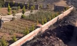 Gebze'deki Orman Yangınında İnanılmaz Görüntü: Her Yer Kül Oldu, O Ev Ayakta Kaldı!