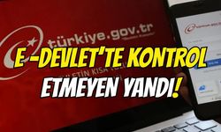 e-Devlet’te Bunu Kontrol Etmeyen Yandı!