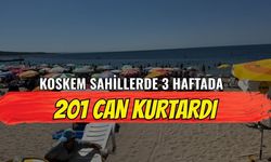 KOSKEM Sahillerde 3 Haftada 201 Can Kurtardı