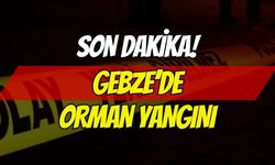 Son Dakika: Gebze'de Orman Yangını
