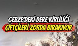 Gebze’de ki dere kirliliği çiftçileri zorda bırakıyor
