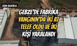 GEBZE FABRİKA YANGININ'DA İKİ AT TELEF OLDU VE İKİ KİŞİ YARALANDI