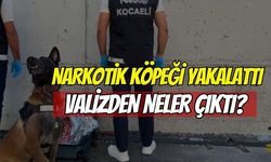 Narkotik köpeği yakaladı: Valizden 21 bin ecza çıktı