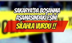Sakarya'da Boşanma Aşamasındaki Eşini Silahla Vurdu