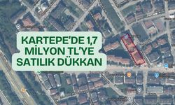 Kartepe'de 1,7 Milyon TL'ye Satılık Dükkan
