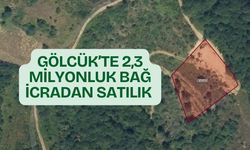 Gölcük'te 2,3 Milyonluk Bağ İcradan Satışa Çıkıyor