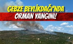 Gebze Beylikdağı’nda Orman Yangını: Alevler Rüzgarın Etkisiyle Büyüyor