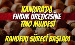 Kandıra’da Fındık Üreticisine TMO Müjdesi: Randevu Süreci Başladı