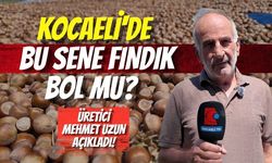 Kocaeli'de Bu Sene Fındık Bol Mu? Üretici Mehmet Uzun Açıkladı