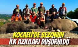 Kocaeli’de Sezonun İlk Azılıları Düşürüldü