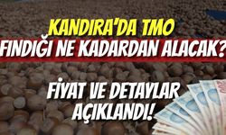 Kandıra’da TMO Fındığı Ne Kadardan Alacak? Fiyat ve Detaylar Açıklandı
