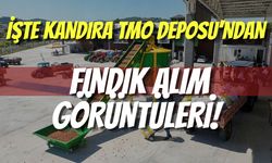 İşte Kandıra TMO Deposu’ndan Fındık Alım Görüntüleri