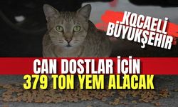 Kocaeli Büyükşehir Can Dostlar İçin 379 Ton Yem Alacak