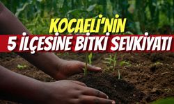 Kocaeli’nin 5 İlçesine Bitki Sevkiyatı: Dev İhale Eylül Sonu Yapılacak