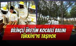 Bilinçli Üretim Kocaeli Balını Türkiye’ye Taşıyor: Büyükşehir’den Arıcılığa Dev Destek!