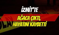 İzmit’te Ağaçtan Düşen Adam Öldü