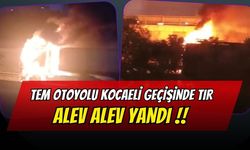TEM Otoyolu Kocaeli Geçişinde Tır Alev Alev Yandı!