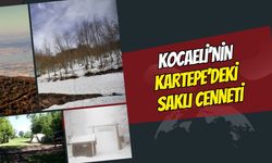 Kocaeli'nin Kartepe İlçesindeki Tabiat Parkı