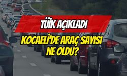 Kocaeli’nin Araç Sayısı Şaşırttı! İşte O Veriler