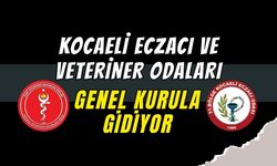 Kocaeli Eczacı ve Veteriner Odaları Genel Kurula Gidiyor