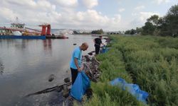 Kocaeli Kıyılarından 10 Ton Atık Çıktı