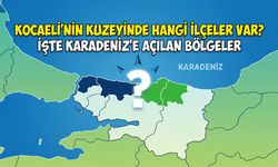 Kocaeli’nin Kuzeyinde Hangi İlçeler Var? İşte Karadeniz’e Açılan Bölgeler