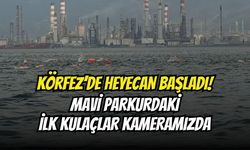 Körfez’de Heyecan Başladı! Mavi Parkurdaki İlk Kulaçlar Kameramızda