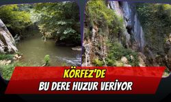 Körfez’de Doğayla İç İçe Rota