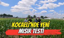 Kocaeli'nde Yeni Mısır Testi