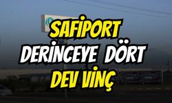 Safiport Derince’ye 4 Dev Vinç