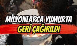 ABD’de Milyonlarca Yumurta Geri Çağrıldı