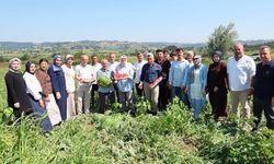 Kandıra’da Çiftçi Buluşması: "Üreten Kandıra, Güçlü Kocaeli