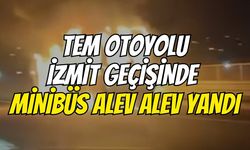 TEM Otoyolu İzmit Geçişinde Minibüs Alev Alev Yandı