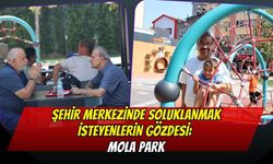 Şehir Merkezinde Soluklanmak İsteyenlerin Gözdesi: Mola Park
