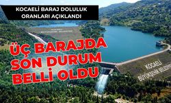 Kocaeli Baraj Doluluk Oranları Açıklandı: Üç Barajda Son Durum Belli Oldu