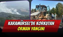 Karamürsel’de Korkutan Orman Yangını: Çamdibi Köyü'nde 30 Dönüm Alan Zarar Gördü