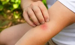 Yanı Başımızda Büyük Tehlike: Avrupa'da İkinci Sıraya Yerleştiler, Can Kayıpları Var