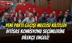 YENİ Parti Geçişi Meclisi Kilitledi: İhtisas Komisyonu Seçimlerine Dilekçe Engeli!