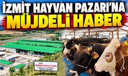 İzmit Hayvan Pazarı’na müjdeli haber: Belediye trafo için ihaleye çıkıyor