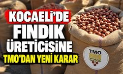 Kocaeli’de Fındık Üreticisine TMO’dan Yeni Karar