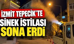 İzmit Tepecik’te Sinek İstilası Sona Erdi