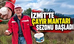 İzmit’te çayır mantarı sezonu başladı