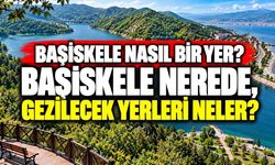 Başiskele Nasıl Bir Yer? Başiskele Nerede, Gezilecek Yerleri Neler?